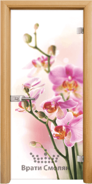 Стъклена интериорна врата Print G 13-2