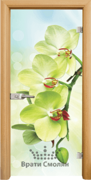 Стъклена интериорна врата Print G Green 13-3