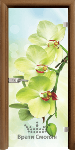 Print G 13 3 C