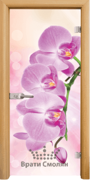 Стъклена интериорна врата Print G Pink 13-3