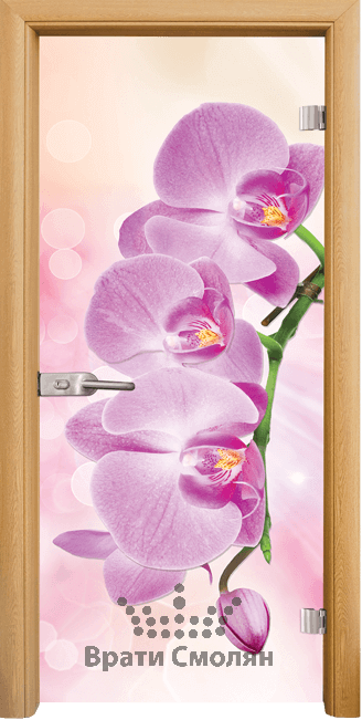 Print G 13 3 Pink A