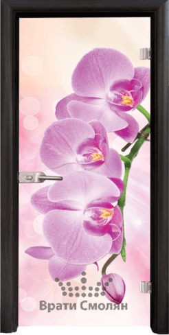 Print G 13 3 Pink B