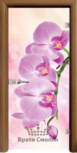 Print G 13 3 Pink C