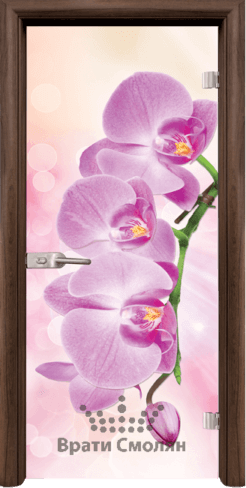 Print G 13 3 Pink T