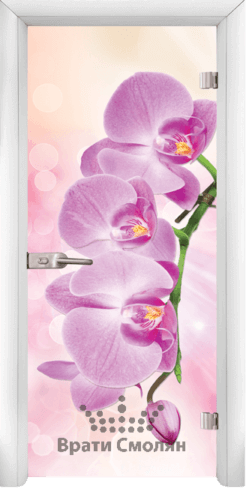 Print G 13 3 Pink W