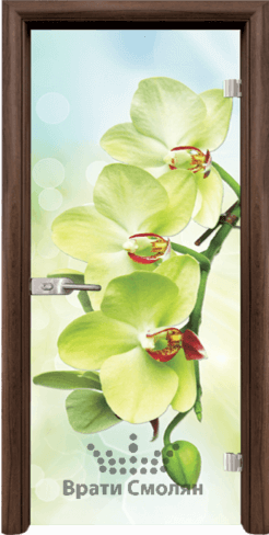 Print G 13 3 T