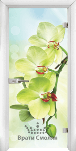 Print G 13 3 W