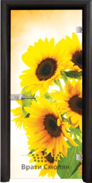 Print G 13 4 B