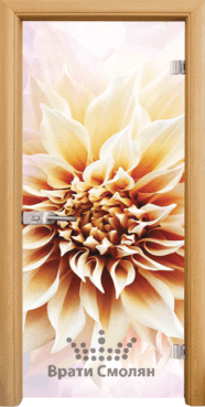 Стъклена интериорна врата Print G 13-5
