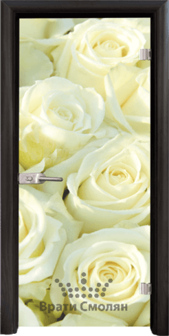Print G 13 6 B