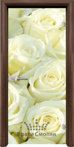 Print G 13 6 T