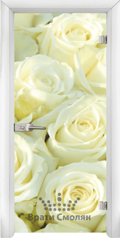 Print G 13 6 W