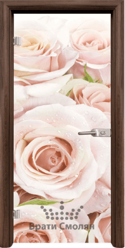 Print G 13 7 T