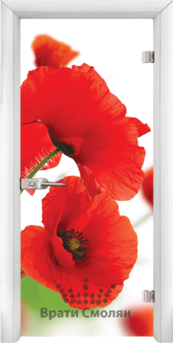 Print G 13 8 W